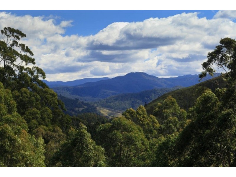 32 Longbottom Road, Dungog NSW 2420