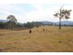 Lot 62 2680 Glendonbrook Road, Gresford NSW 2311