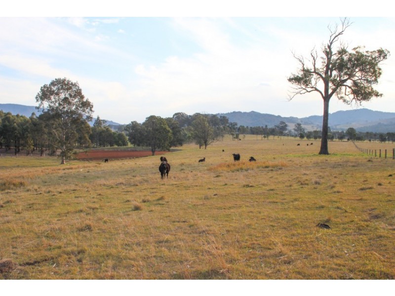 Lot 62 2680 Glendonbrook Road, Gresford NSW 2311