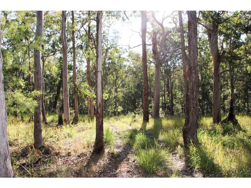 Lot 2 Saggers Creek Road, Stroud NSW 2425