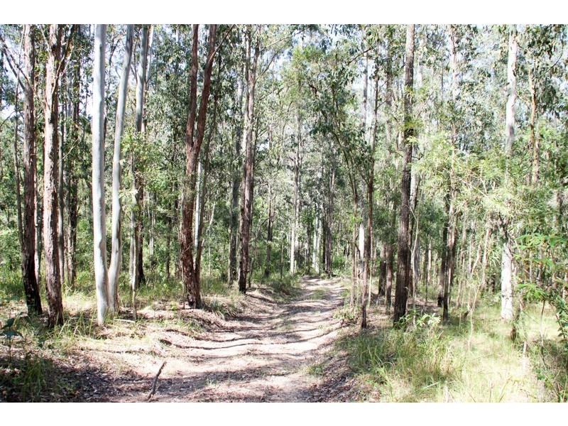 Lot 105 & 107 Nelsons Road, Dungog NSW 2420