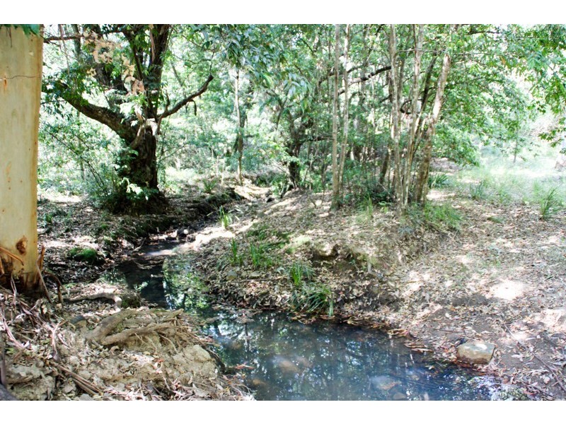 Lot 105 & 107 Nelsons Road, Dungog NSW 2420