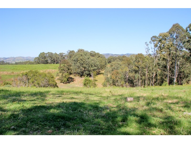 Lot 105 & 107 Nelsons Road, Dungog NSW 2420