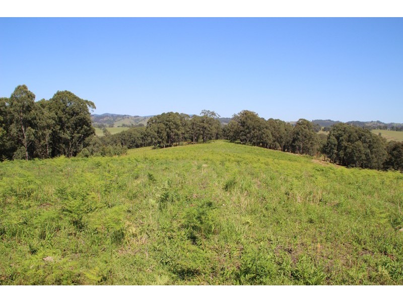 Lot 105 & 107 Nelsons Road, Dungog NSW 2420