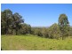 Lot 105 & 107 Nelsons Road, Dungog NSW 2420