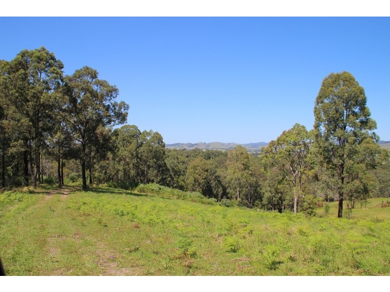 Lot 105 & 107 Nelsons Road, Dungog NSW 2420