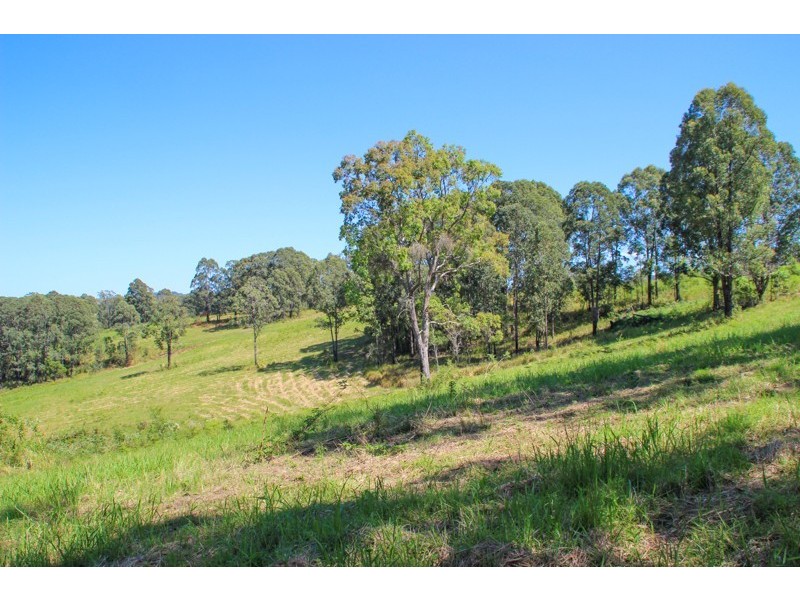 Lot 105 & 107 Nelsons Road, Dungog NSW 2420