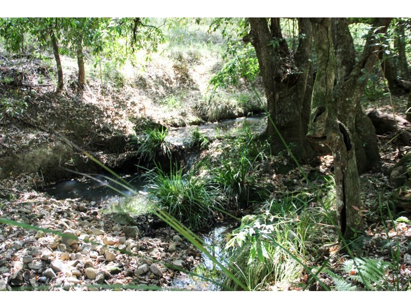 Lot 105 & 107 Nelsons Road, Dungog NSW 2420