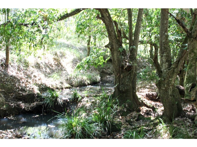 Lot 105 & 107 Nelsons Road, Dungog NSW 2420