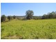 Lot 105 & 107 Nelsons Road, Dungog NSW 2420