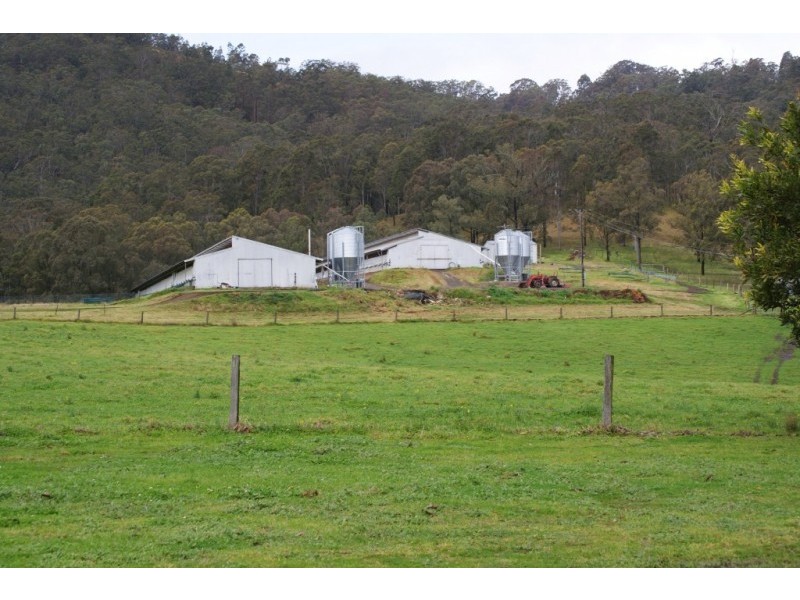 972 Dungog Road, Dungog NSW 2420