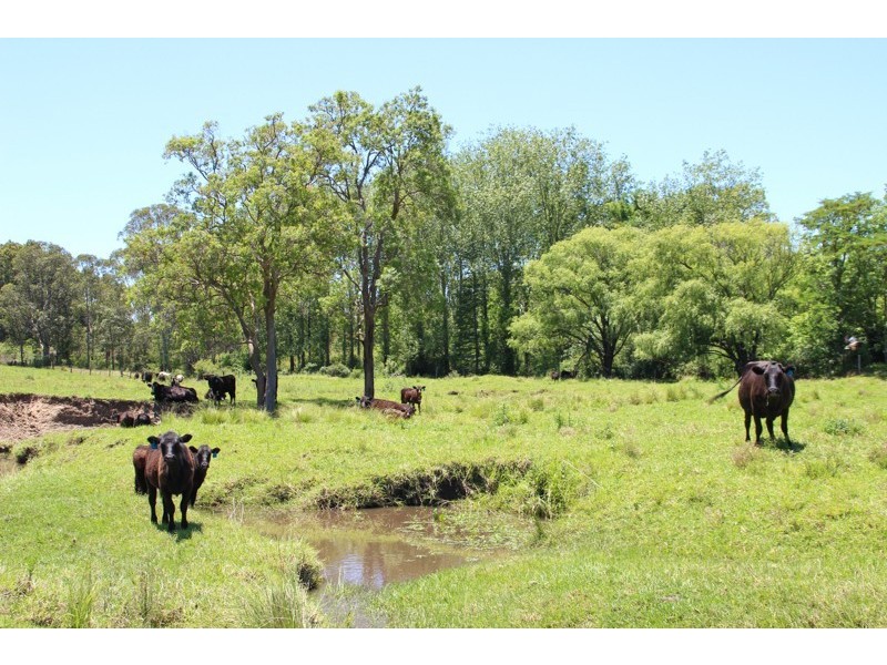 1265 Dungog Road, Dungog NSW 2420