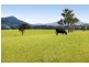 558 Gresford Road, Paterson NSW 2421