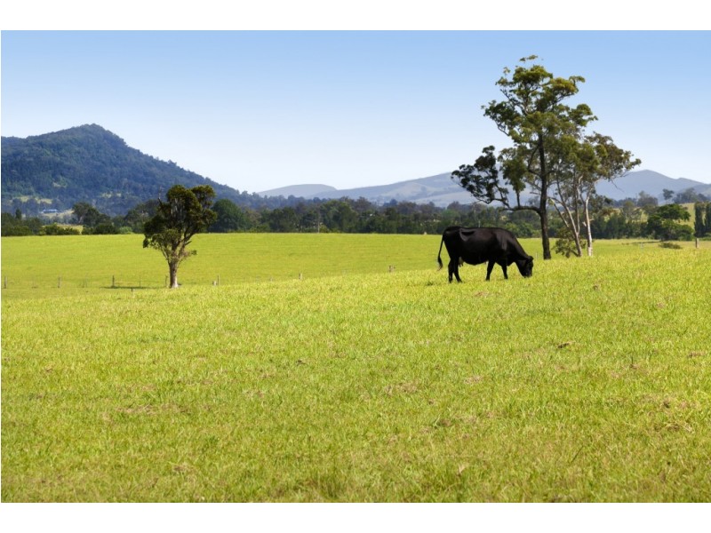 558 Gresford Road, Paterson NSW 2421