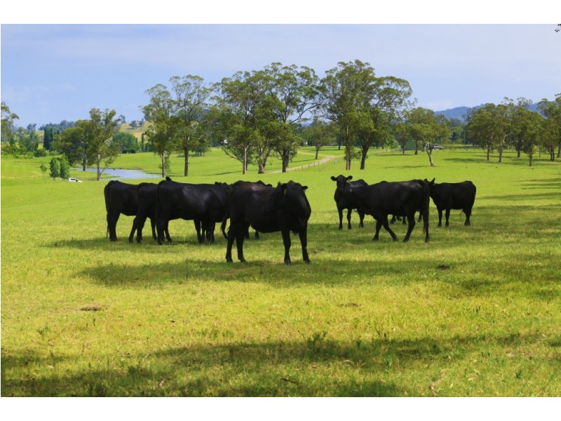 558 Gresford Road, Paterson NSW 2421