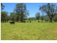 558 Gresford Road, Paterson NSW 2421