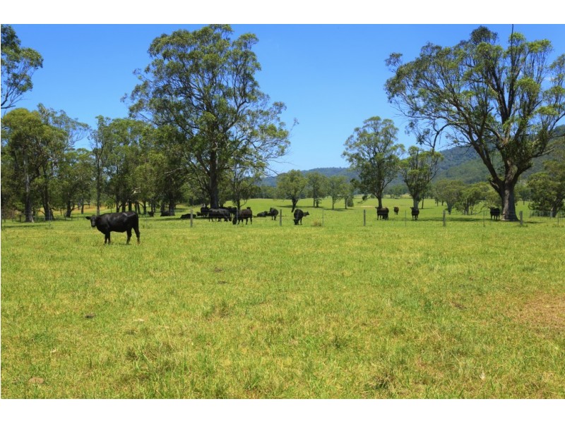 558 Gresford Road, Paterson NSW 2421