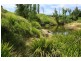 558 Gresford Road, Paterson NSW 2421