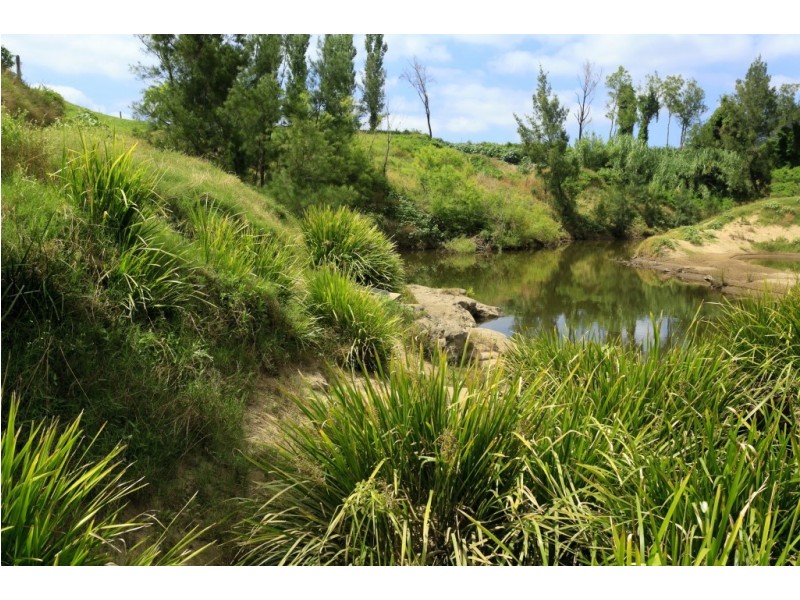 558 Gresford Road, Paterson NSW 2421