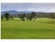 558 Gresford Road, Paterson NSW 2421