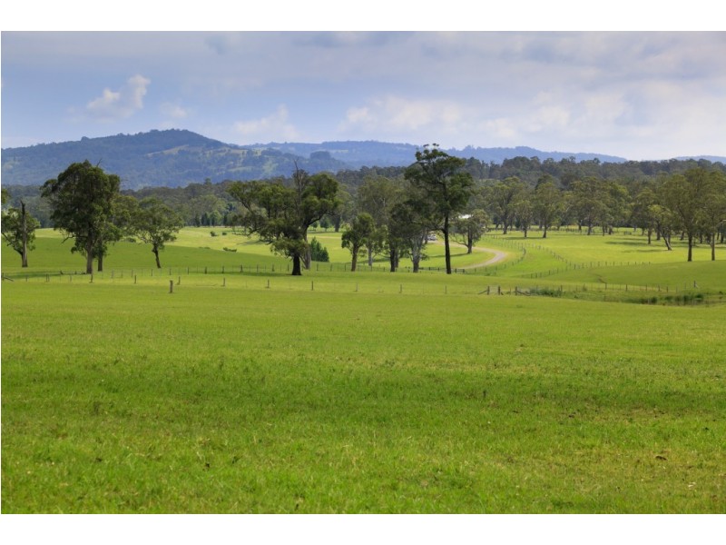 558 Gresford Road, Paterson NSW 2421