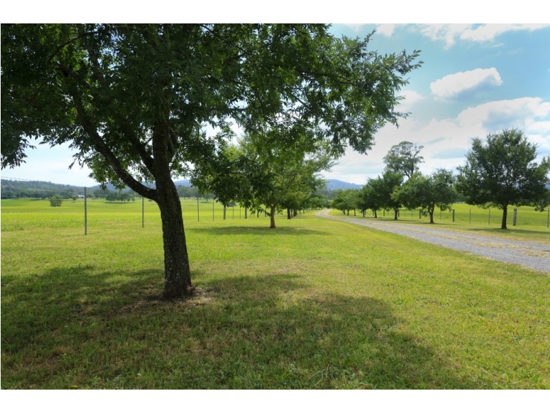 558 Gresford Road, Paterson NSW 2421
