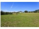1550 Paterson River Road, Gresford NSW 2311