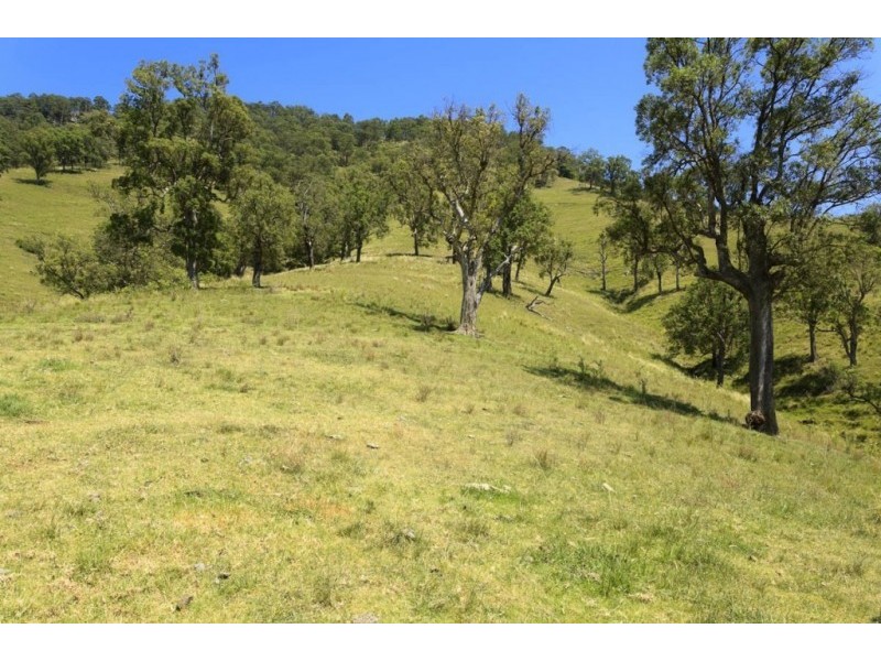 1550 Paterson River Road, Gresford NSW 2311