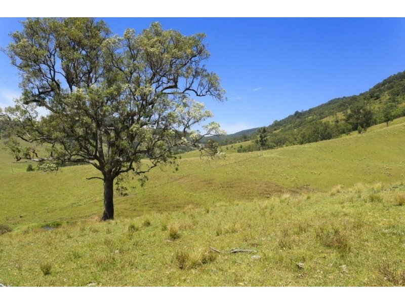 1550 Paterson River Road, Gresford NSW 2311