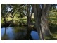 1550 Paterson River Road, Gresford NSW 2311