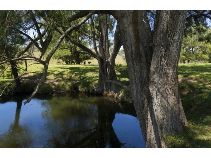 1550 Paterson River Road, Gresford NSW 2311