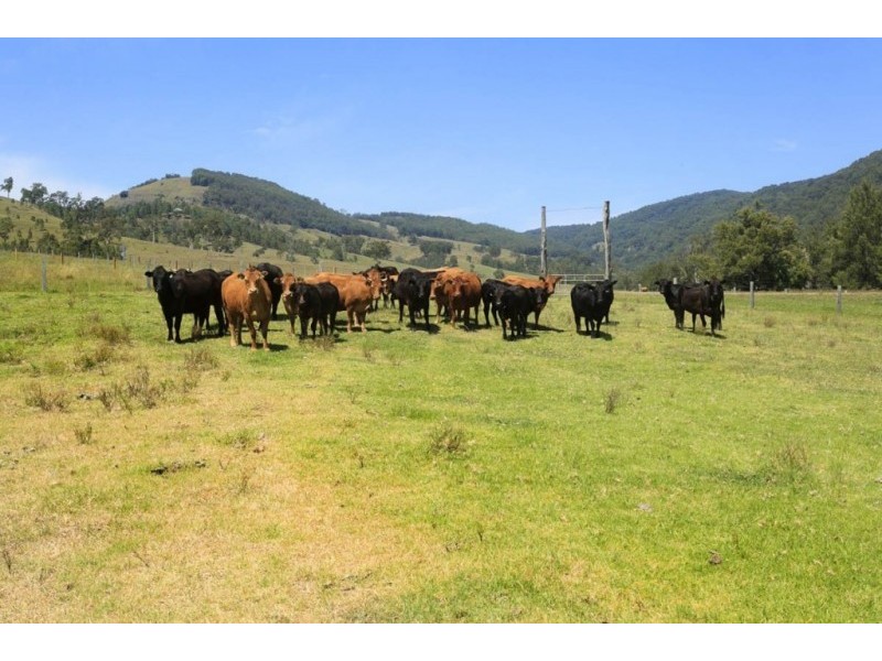 1550 Paterson River Road, Gresford NSW 2311