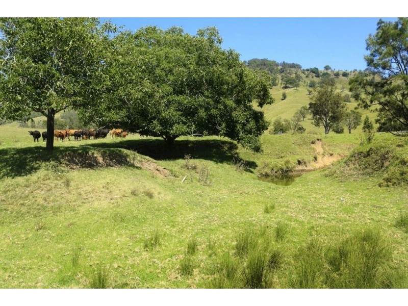 1550 Paterson River Road, Gresford NSW 2311