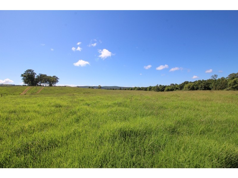 42 Horton Close, Clarence Town NSW 2321