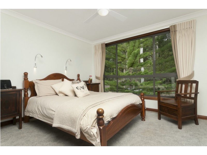 253 Wangat Trig Road, Dungog NSW 2420