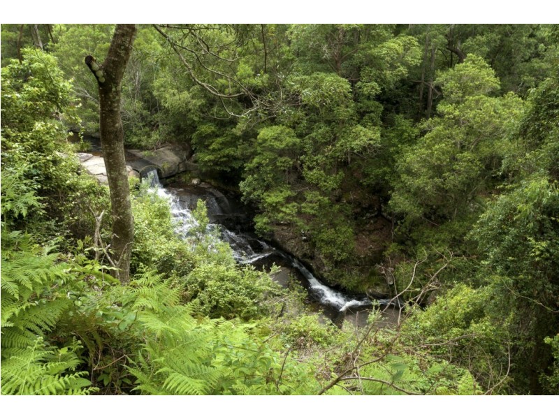 253 Wangat Trig Road, Dungog NSW 2420