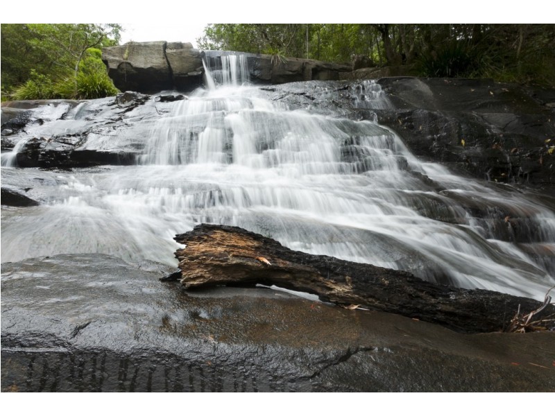 253 Wangat Trig Road, Dungog NSW 2420