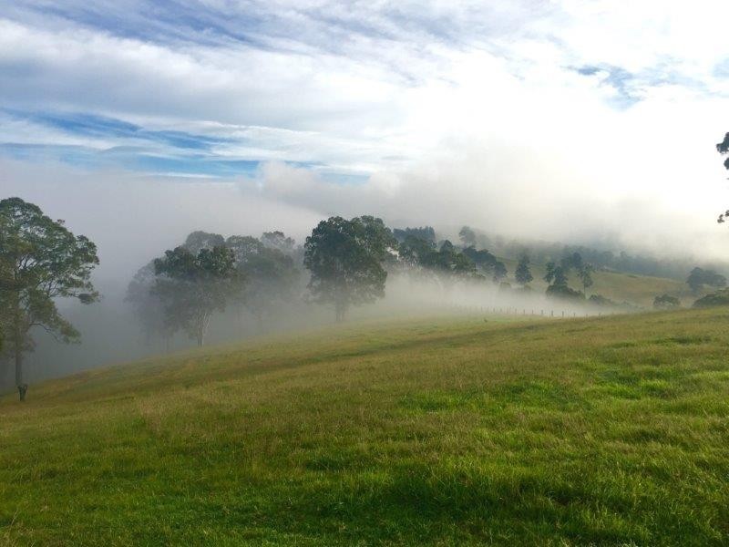 1486 Stroud Hill Road, Dungog NSW 2420