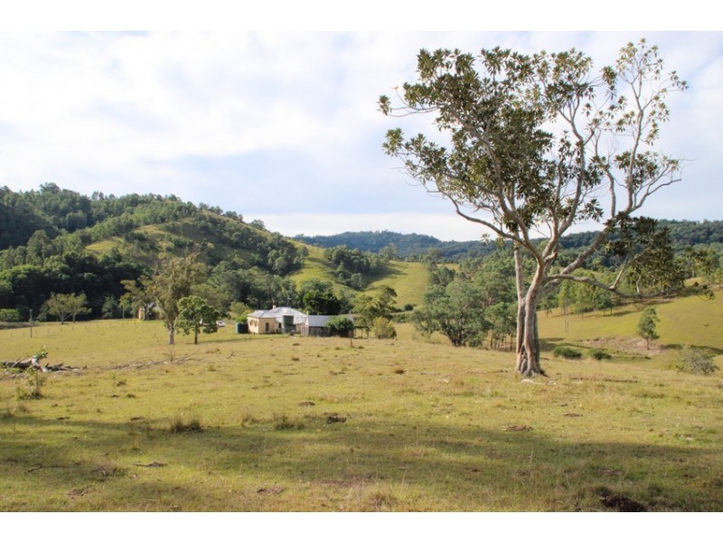 1043 Bingleburra Road, Dungog NSW 2420