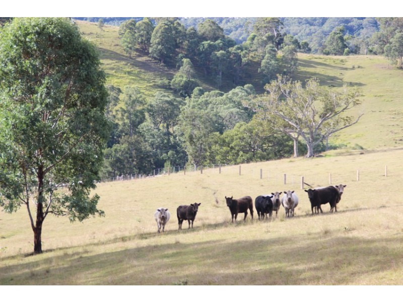 1043 Bingleburra Road, Dungog NSW 2420