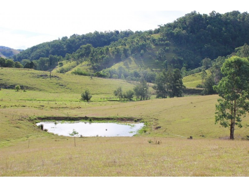 1043 Bingleburra Road, Dungog NSW 2420