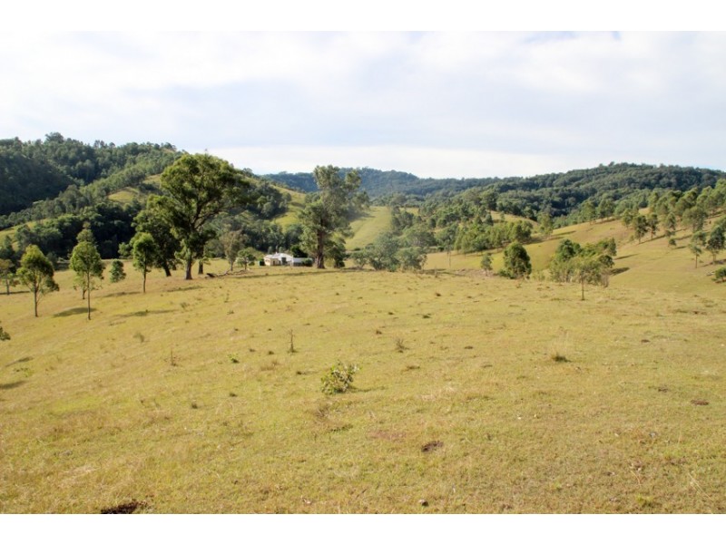 1043 Bingleburra Road, Dungog NSW 2420