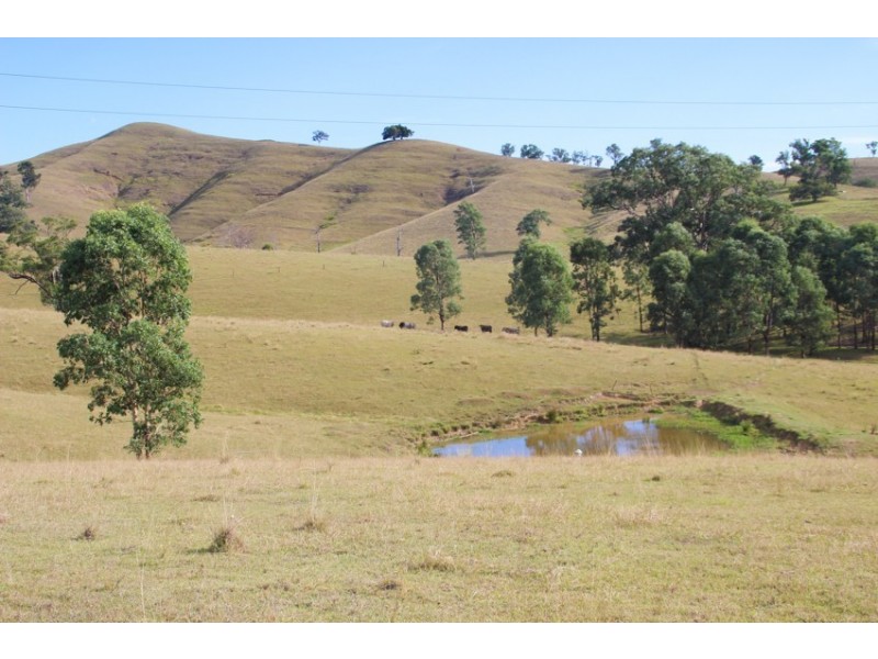 1043 Bingleburra Road, Dungog NSW 2420