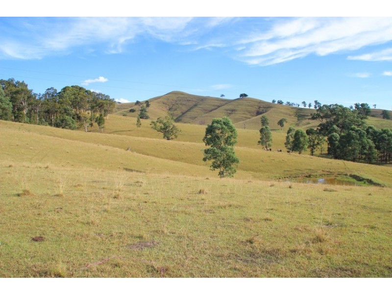 1043 Bingleburra Road, Dungog NSW 2420