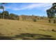 1043 Bingleburra Road, Dungog NSW 2420
