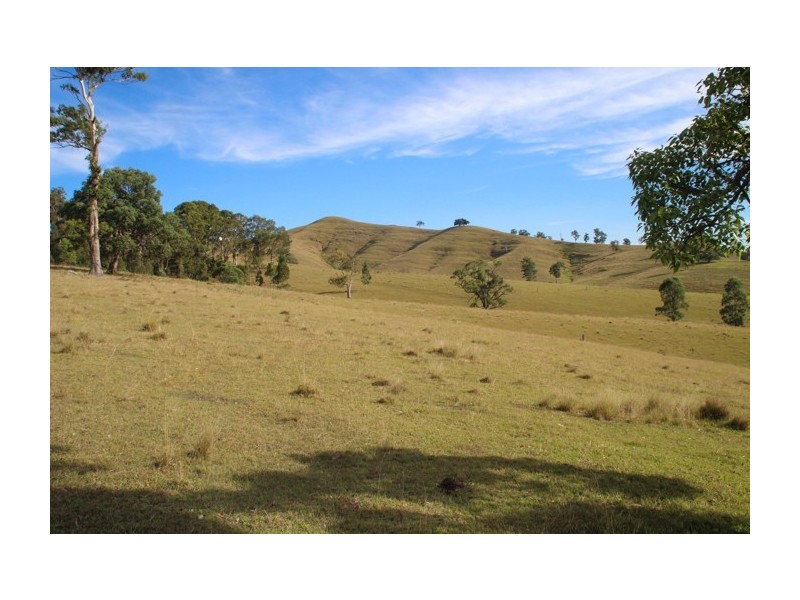 1043 Bingleburra Road, Dungog NSW 2420