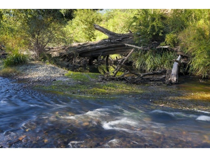 73 Fosterton Road, Dungog NSW 2420