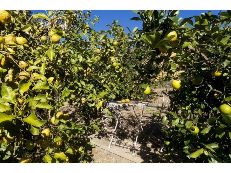 73 Fosterton Road, Dungog NSW 2420