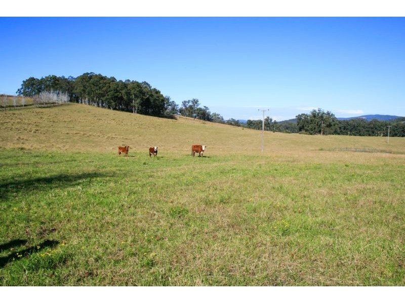 70 Bowdens Lane, Stroud NSW 2425