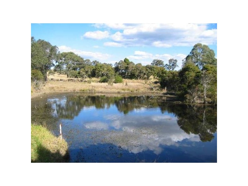Dungog NSW 2420